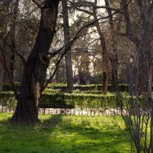 A sunset in Retiro Park